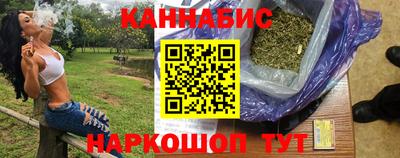 индика Гай