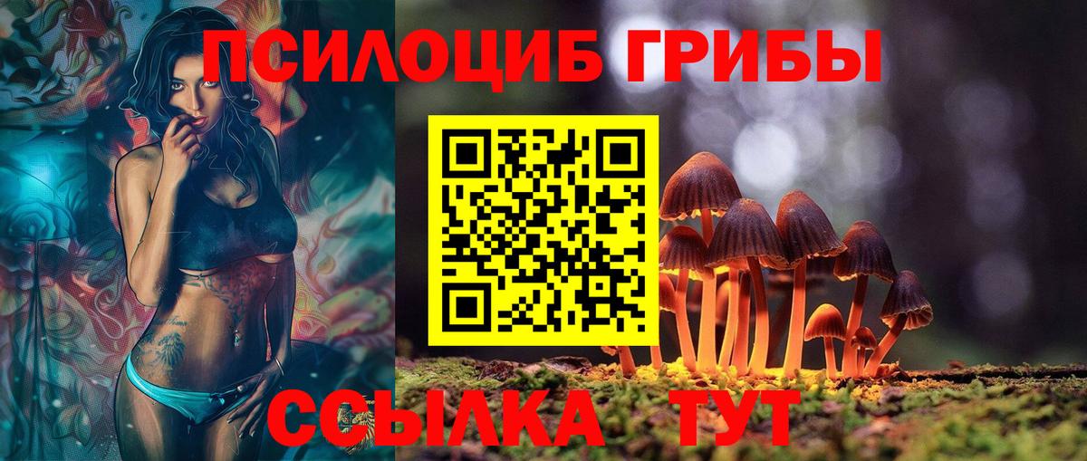 Галлюциногенные грибы MAGIC MUSHROOMS  Псилоцибиновые грибы ЛСД  Вход с VPN  Горячий Ключ 